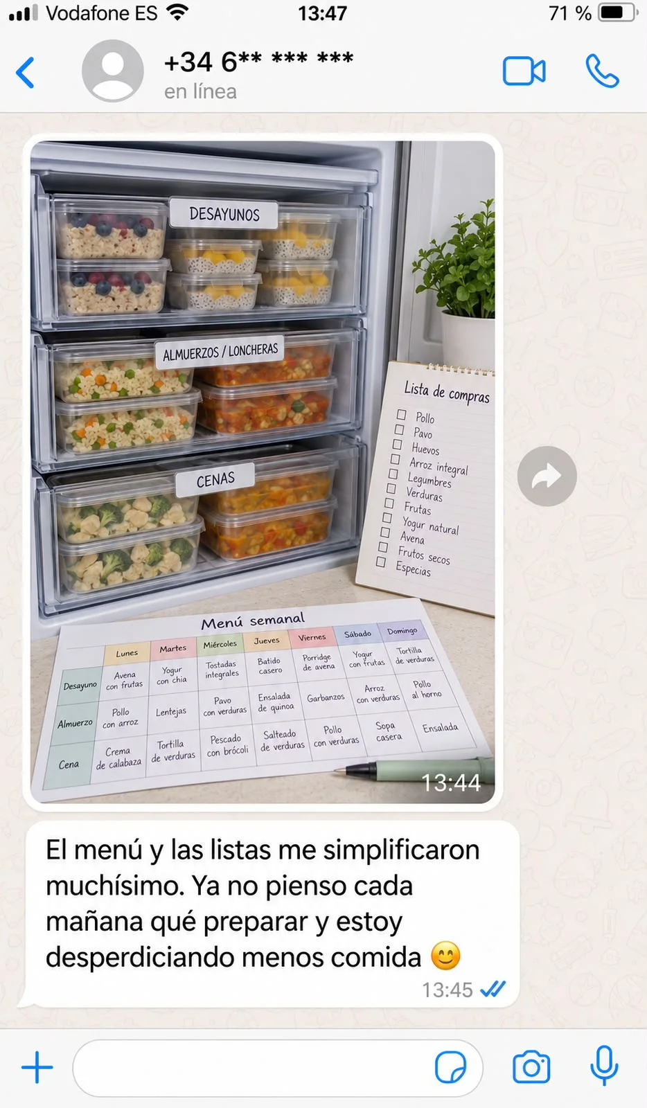 Testimonio real por WhatsApp: menú y listas de compras organizadas en el congelador